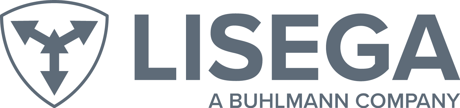 Logo LISEGA