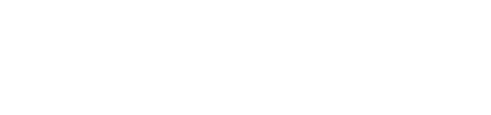 LISEGA